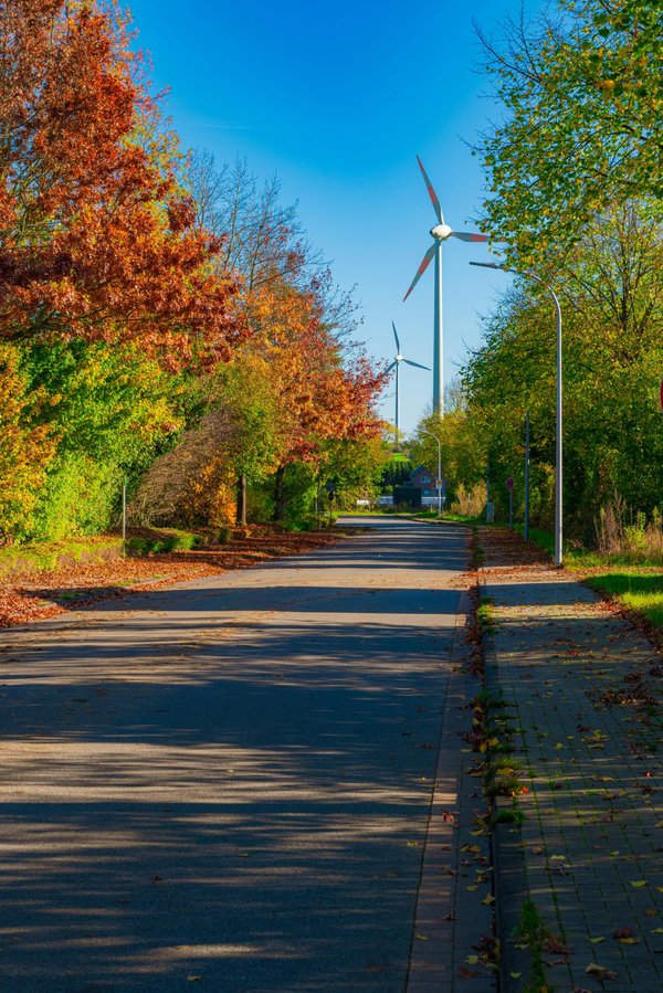 Énergie renouvelable : découvrez l'excellence de photo ecologie